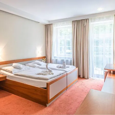 礼萨酒店 酒店 Františkovy Lázně