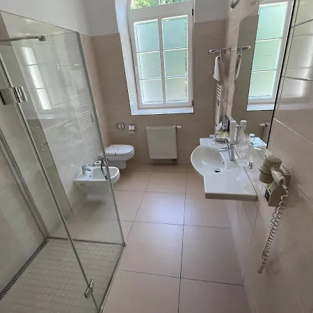 礼萨酒店 酒店 Františkovy Lázně