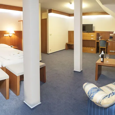 酒店 礼萨酒店 4*