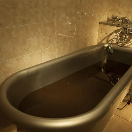 Reza Hotel Frantiskovy Lazne