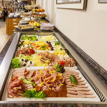 礼萨酒店 4* Františkovy Lázně