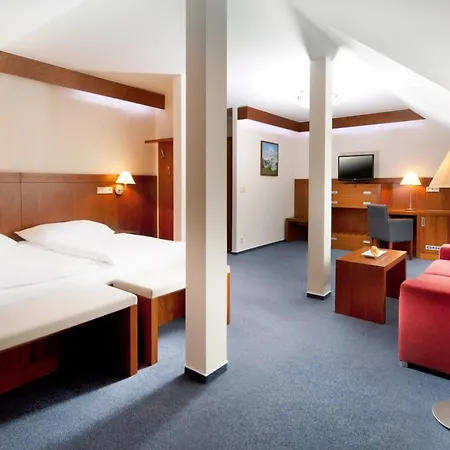 礼萨酒店 酒店 Františkovy Lázně