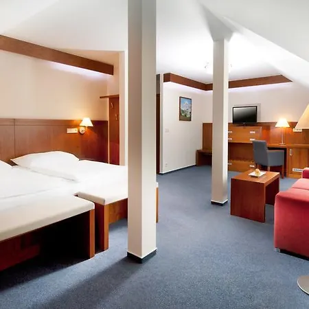 礼萨酒店 Františkovy Lázně