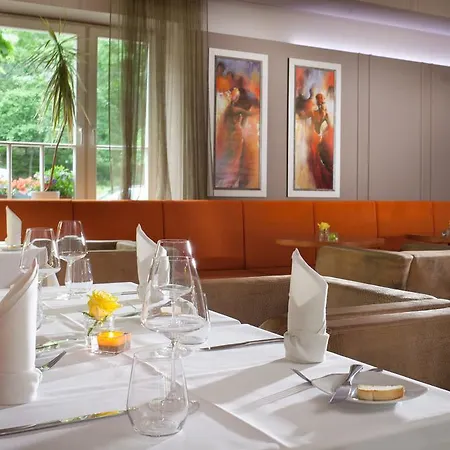 礼萨酒店 Františkovy Lázně