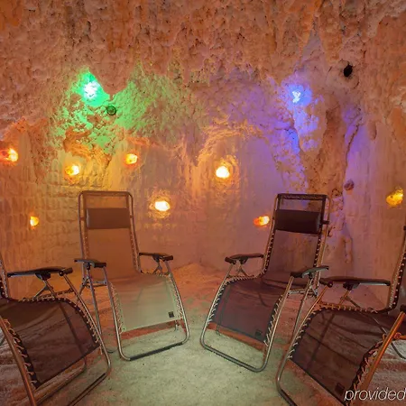 礼萨酒店 4* Františkovy Lázně