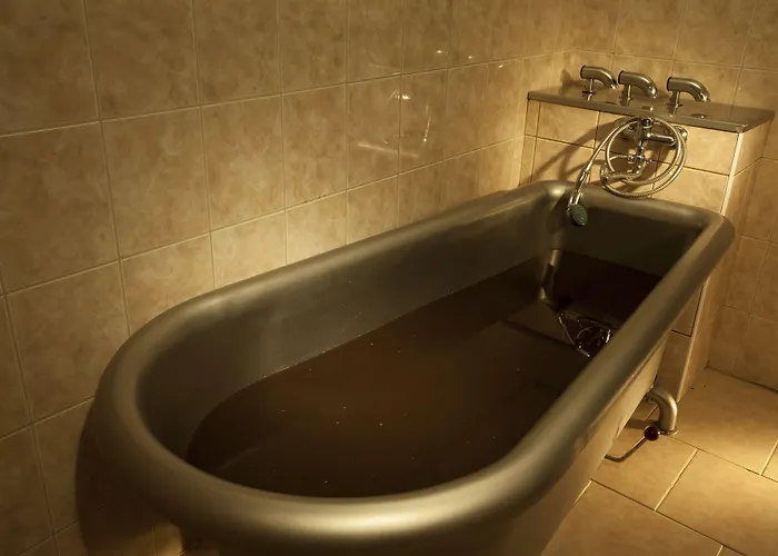 Reza Hotel Františkovy Lázně